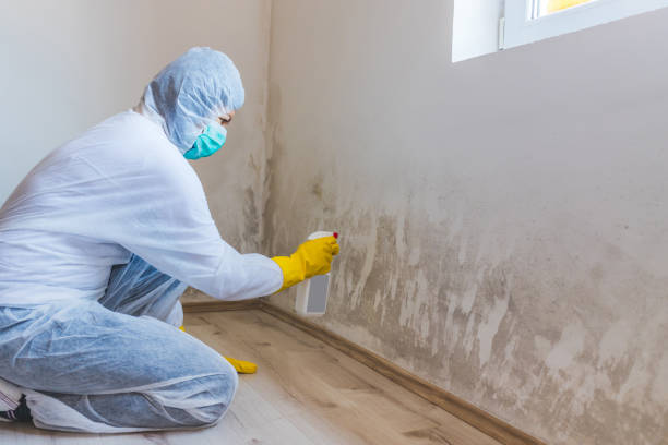 Licensed Bathroom Mold Removal service in Poquoson, VA - WQB Mold Removal