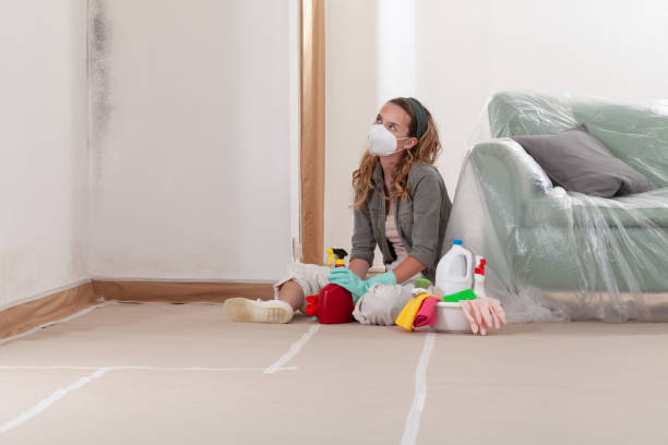 Reliable Bathroom Mold Removal contractor in Poquoson, VA by WQB Mold Removal